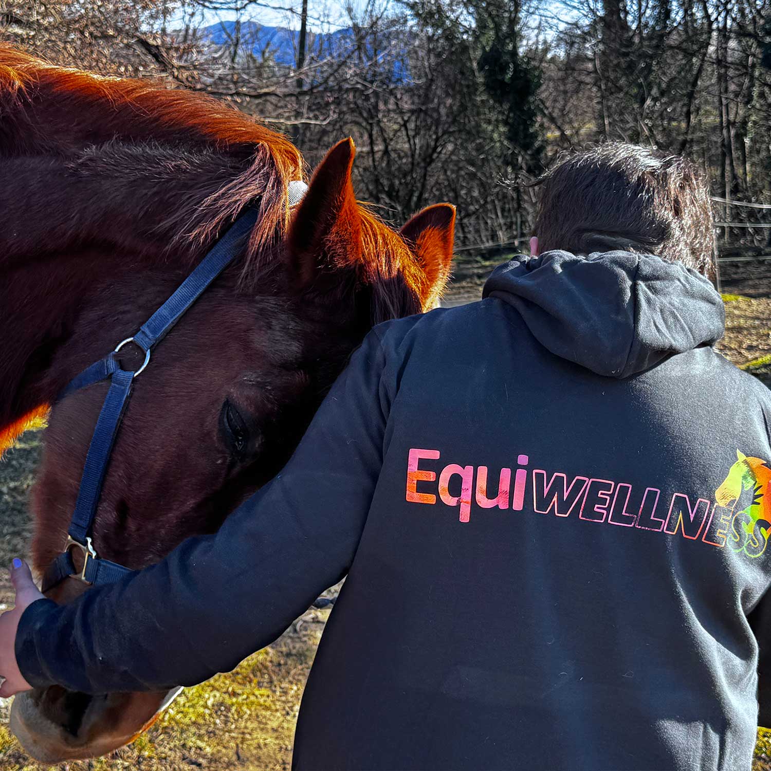 EquiWellness Benefici della manipolazione fasciale e trattamenti manuali per i cavalli