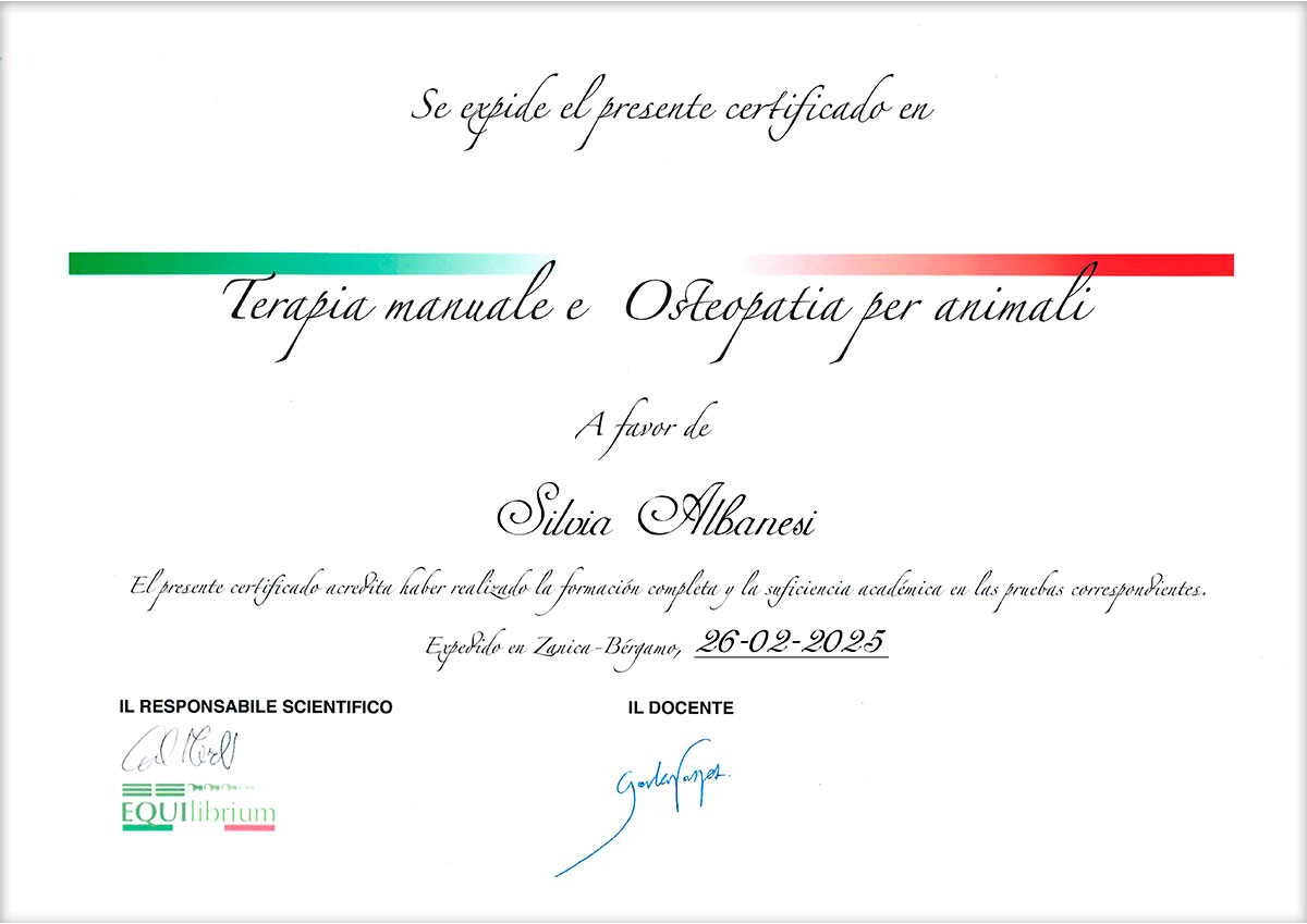 Equilibrium-certificato-trattamenti-manuali-e-osteopatia-EquiWellness-Silvia-Albanesi Terapia manuale e osteopatia per animali - Silvia Albanesi - EquiWellness